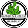 Macroalgas Marinas del Uruguay